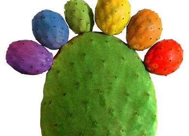 Brightly colored cactus with six vibrant pads at GIAhairconcept, Utrecht, Utrecht, NL.