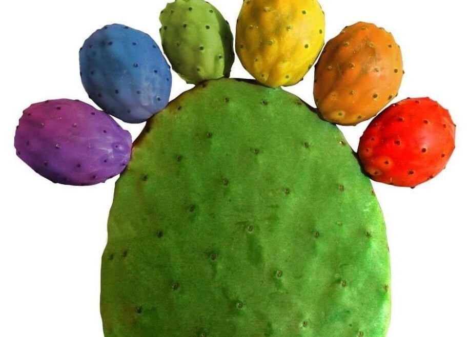 Colorful cactus image at GIAhairconcept, Utrecht, Utrecht, NL showcasing vibrant creativity.