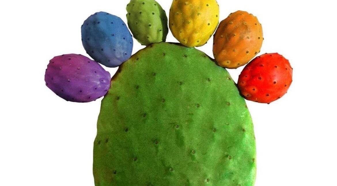 Colorful cactus image at GIAhairconcept, Utrecht, Utrecht, NL showcasing vibrant creativity.