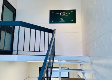 Entrance stairway to Therapeia Limited in Auckland, NZ, showcasing a modern interior design.