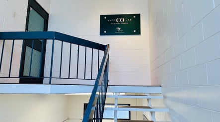 Entrance stairway to Therapeia Limited in Auckland, NZ, showcasing a modern interior design.