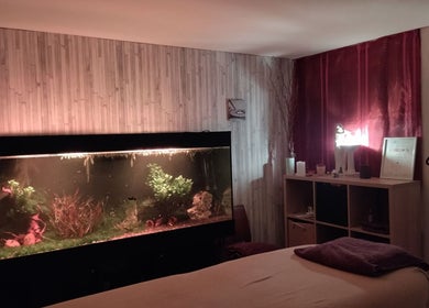Espace Zen-Shi à Hayange, Grand Est, FR, avec aquarium apaisant et décoration chaleureuse.