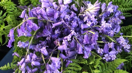 Vibrant lavender flowers and lush ferns at Heart Center, Harrogate, England, GB, enhancing serenity and beauty.