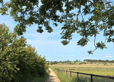 Scenic path at Marwood Equestrian, Barnard Castle, England, GB, bordered by lush fields and serene landscapes.