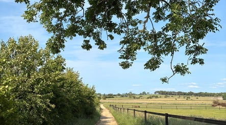 Scenic path at Marwood Equestrian, Barnard Castle, England, GB, bordered by lush fields and serene landscapes.