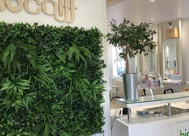 Entrée verte et accueillante de Biocoiff Evreux à Évreux, Normandie, FR avec plantes luxuriantes.