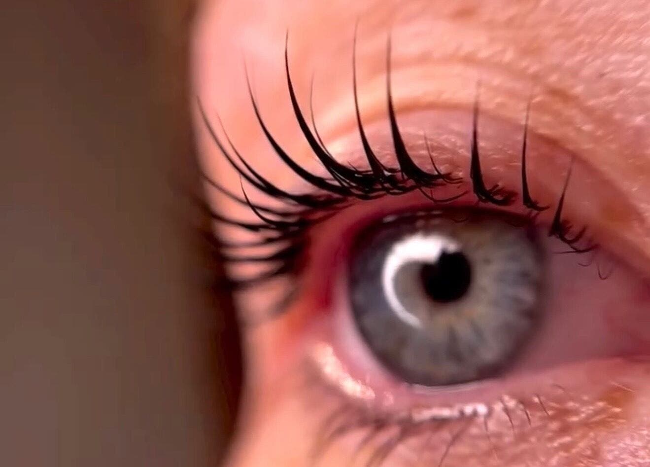 Close-up of expertly styled lashes at flowwy brows & lashes in Melbourne, Victoria, AU.