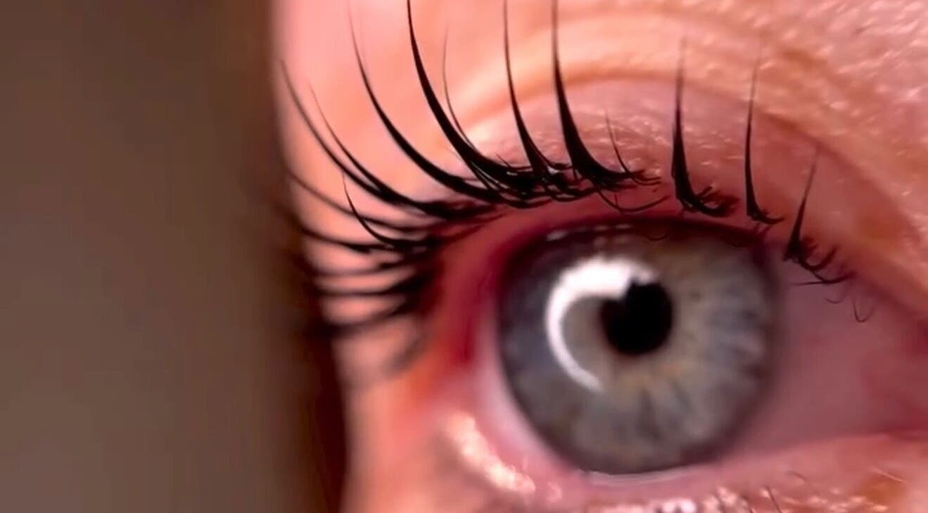 Close-up of expertly styled lashes at flowwy brows & lashes in Melbourne, Victoria, AU.