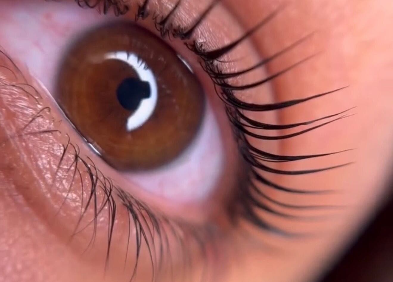 Close-up of detailed lashes at flowwy brows & lashes, Melbourne, Victoria, AU.