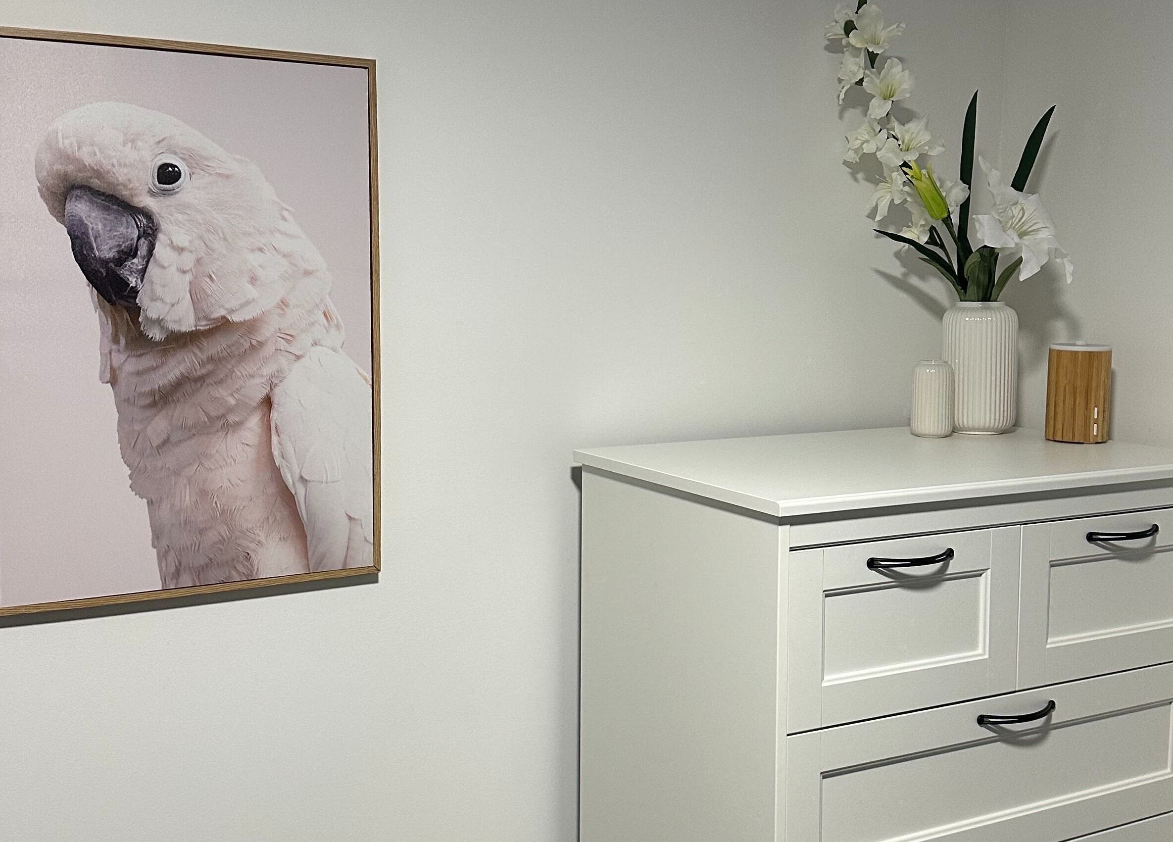 Bright cockatoo art and floral vase at Alter Beauty, Harristown, Queensland, AU.