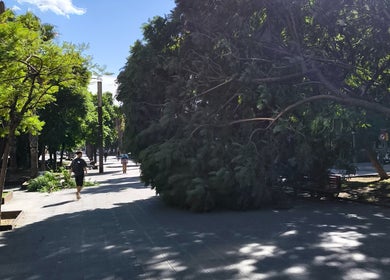 Calle arbolada cerca de Barbería Espartano david en Sant Cugat Del Vallès, Catalunya, ES.