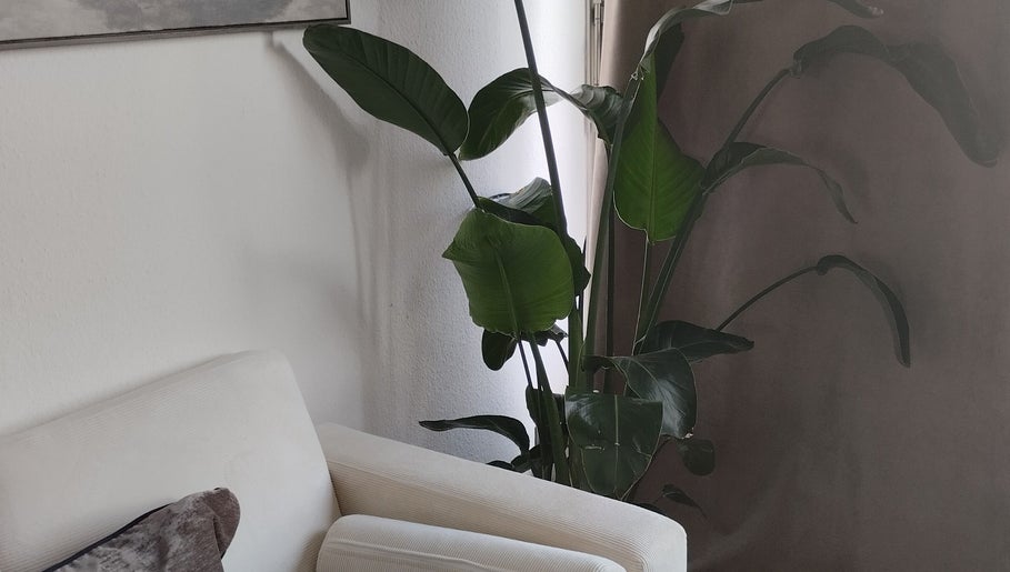 Salon lumineux et moderne chez ART institut, Genève, Genève, CH avec plante verte et fauteuil blanc.