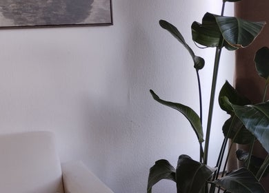 Coin salon chic chez ART institut à Genève, Genève, CH avec plantes et canapé blanc.