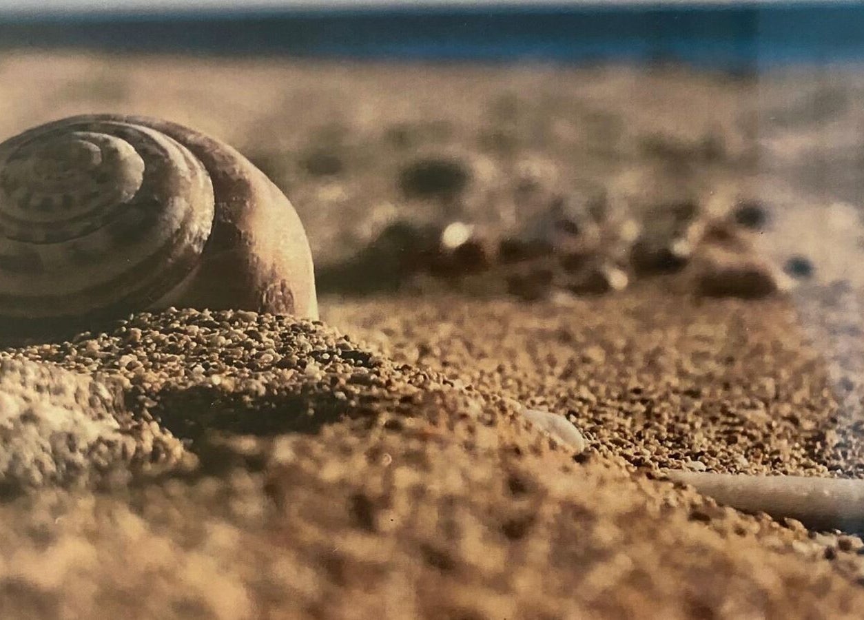 Coquillage sur sable à ART Institut, Genève, Genève, CH. Atmosphère relaxante pour bien-être.