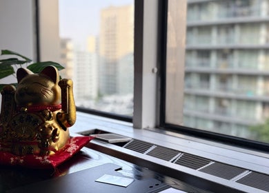 Golden cat figurine by window at Beca’s Beauty Spectrum, Toronto, Ontario, CA.