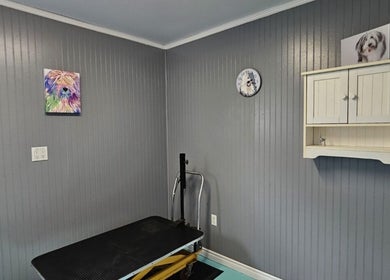Grooming room at Luna Pets in Gloucester, England, GB, featuring a table and pet artwork.