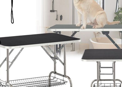 Elevated dog grooming table at Luna Pets, Gloucester, England, GB, showcasing pet care excellence.
