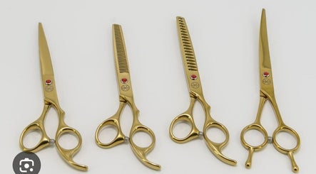 Four gold grooming scissors from Luna pets, Gloucester, England, GB, showcasing premium pet care tools.