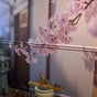 wu therapeutic massage and head spa - 10387 Main Street, suite 201, Fairfax, Virginia