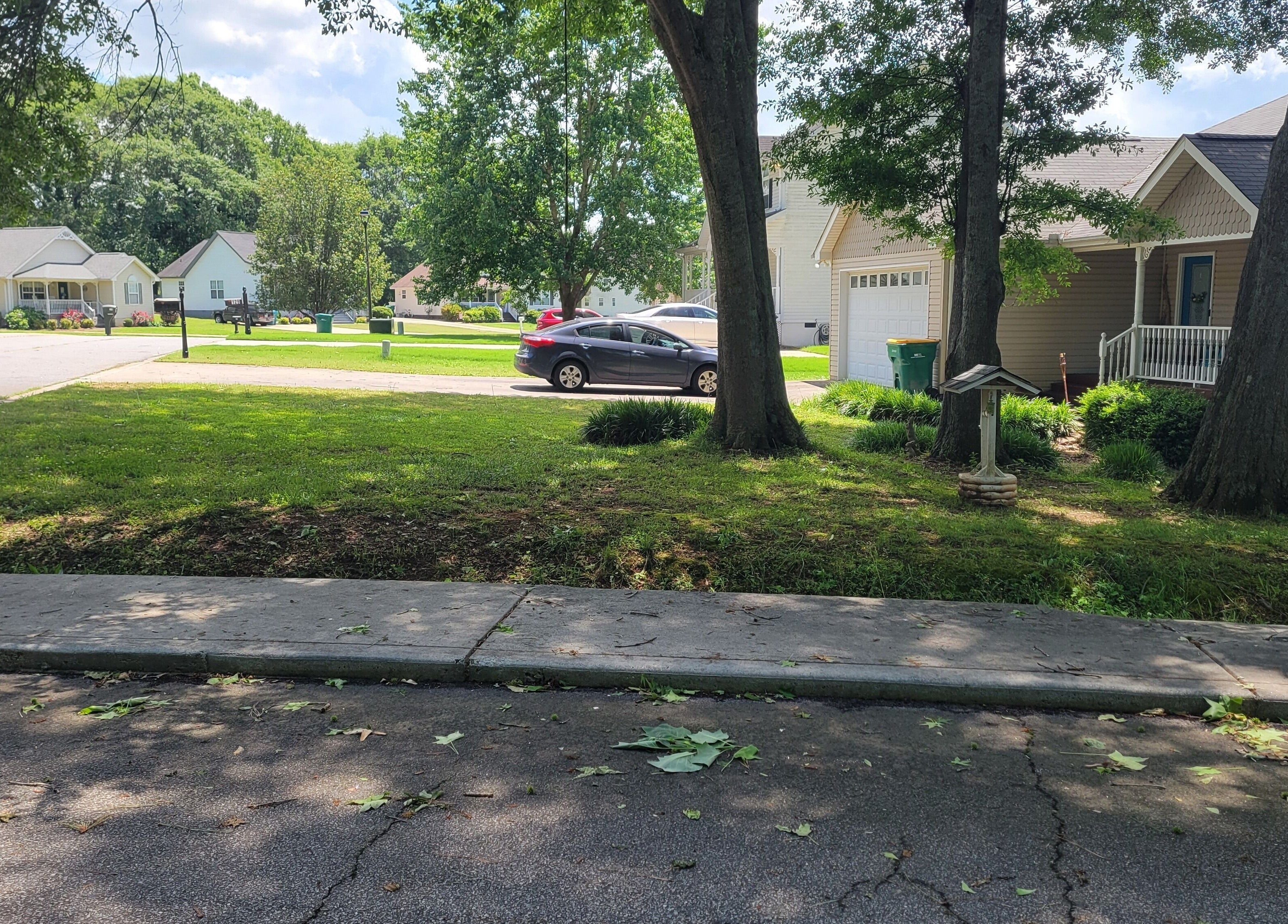 Tranquil suburban street near Halo Majesty Hair, Lavonia, Georgia, US, showcasing a peaceful neighborhood scene.