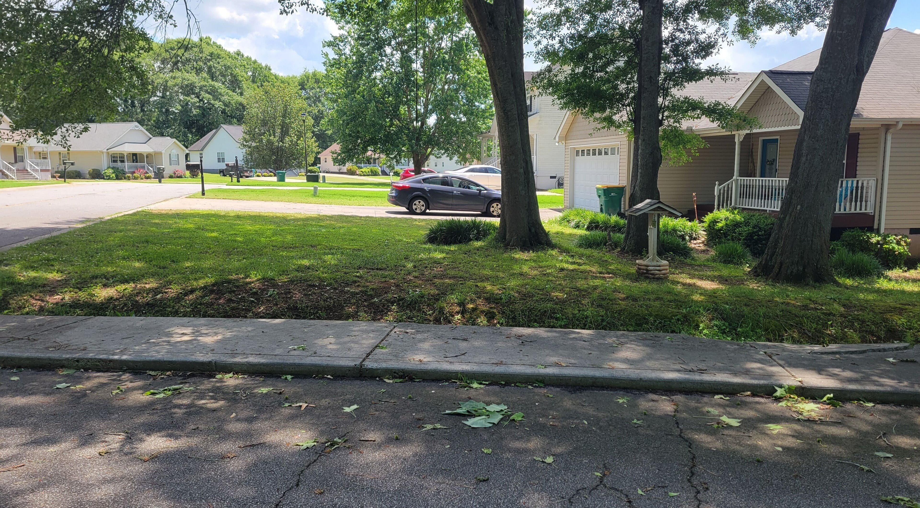 Tranquil suburban street near Halo Majesty Hair, Lavonia, Georgia, US, showcasing a peaceful neighborhood scene.