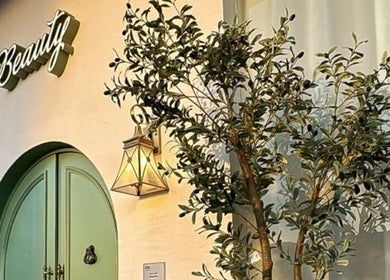 Zan Beauty | زان بيوتي صالون نسائي entrance with green door and olive tree, Riyadh, Riyadh Province, SA.