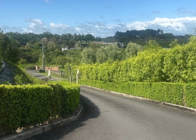 Idyllic greenery leading to Lashed And Loaded in Horsham Downs, Waikato Region, NZ.