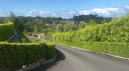 Idyllic greenery leading to Lashed And Loaded in Horsham Downs, Waikato Region, NZ.