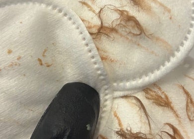 Close-up of used cotton pads with makeup residue at CL BEAUTY LOUNGE, Newcastle upon Tyne, England, GB.