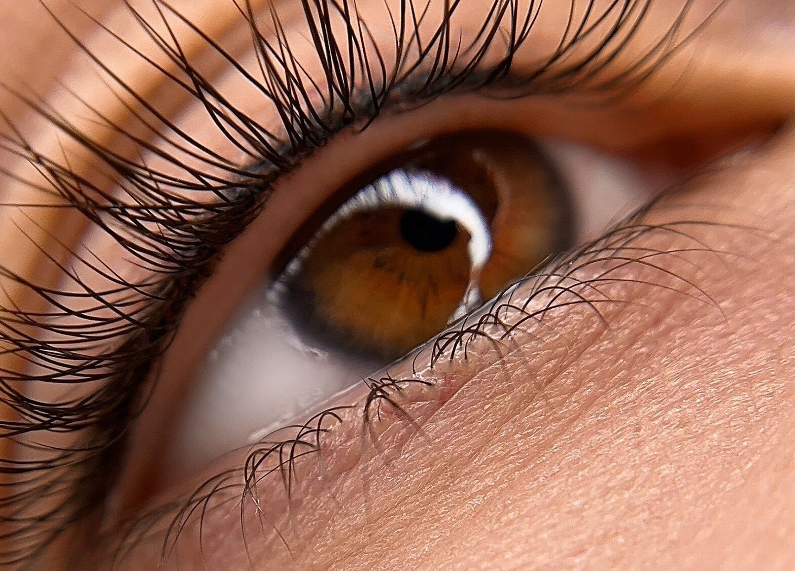 Close-up of styled lashes at Touch of Elegance, Colchester, England, GB.