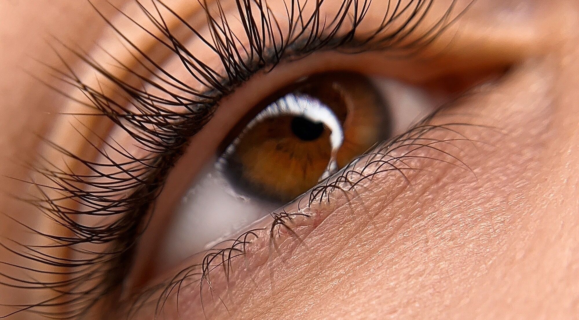 Close-up of styled lashes at Touch of Elegance, Colchester, England, GB.