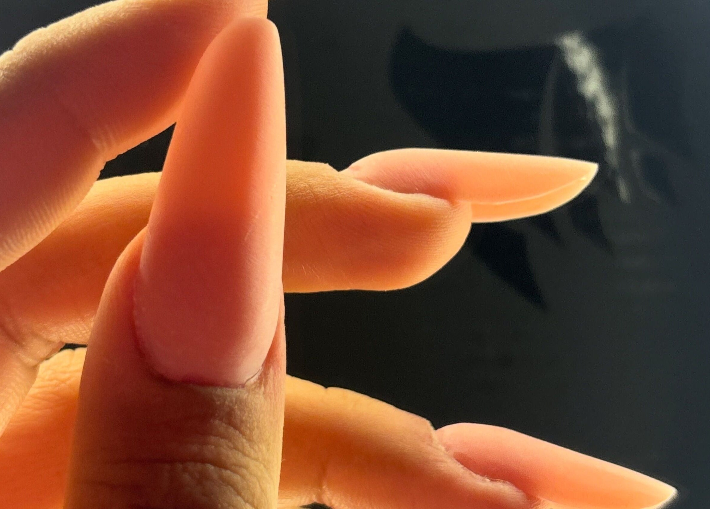 Manicure raffinata presso NS nails studio a Bodio, Ticino, CH con un elegante design a forma appuntita.