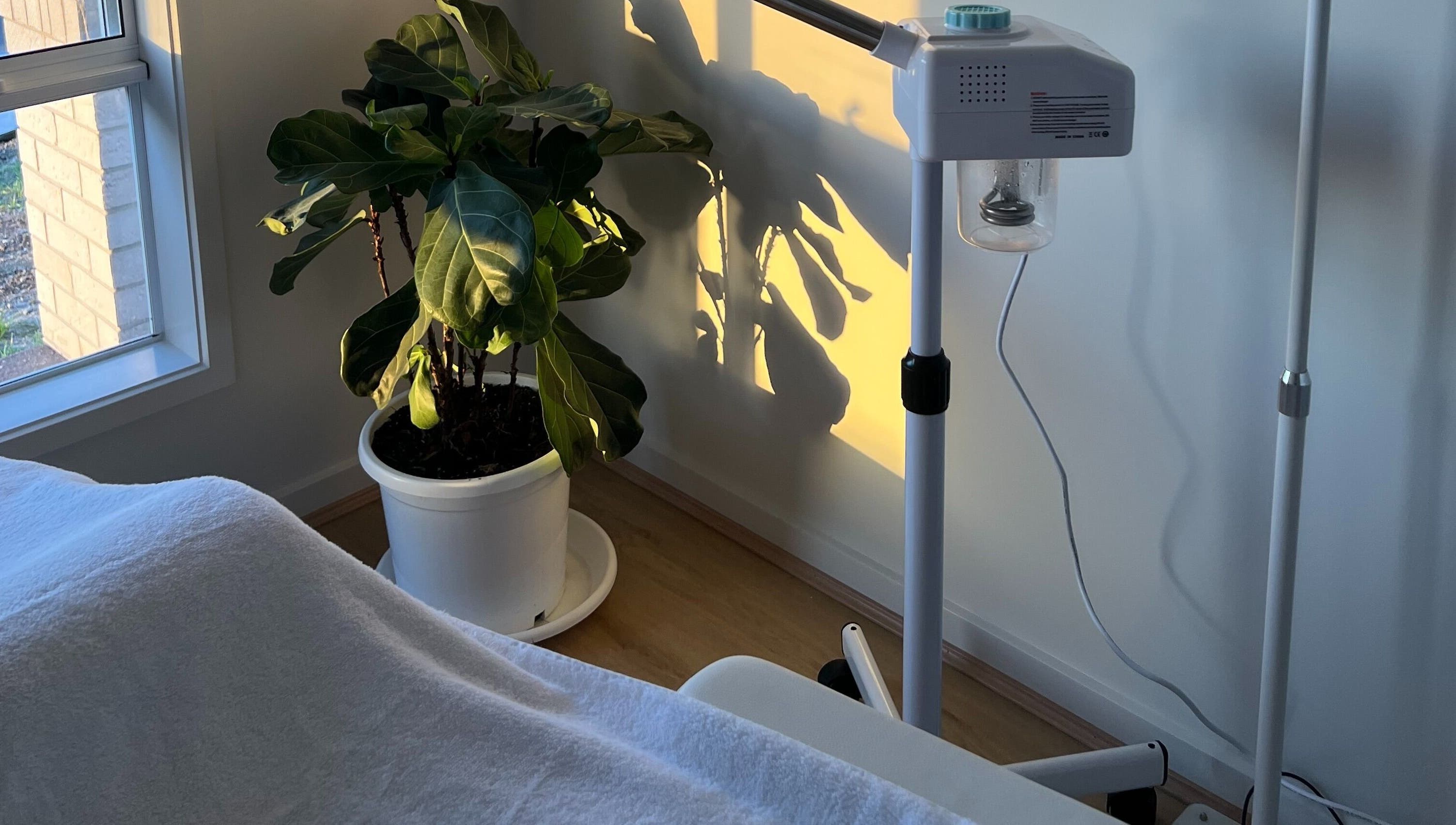 Spa room with equipment and plant at Resolve Skin, Beaudesert, Queensland, AU.