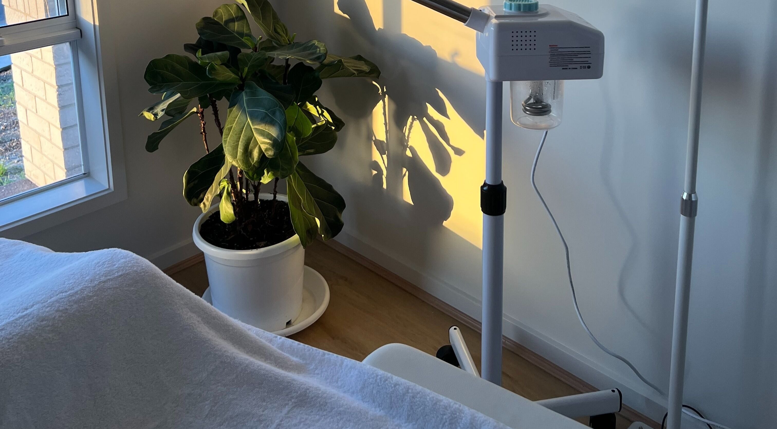 Spa room with equipment and plant at Resolve Skin, Beaudesert, Queensland, AU.