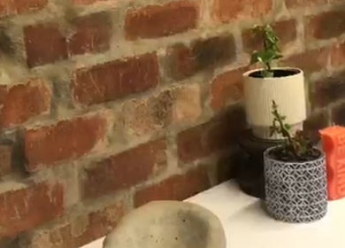 Brick wall with potted plants at The Sonho Beauty Studio, Centurion, Gauteng, ZA.