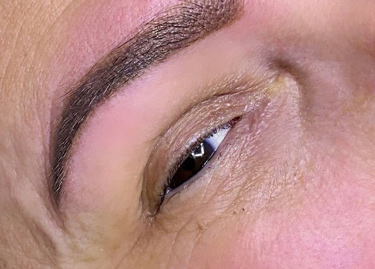 Sourcils magnifiquement tatoués à ELEGANTIA Maquillage Permanent Cannes, Le Cannet, Provence-alpes-côte D'azur, FR.