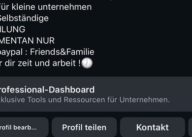 Pro-Dashboard von Della Designs in DE zeigt exklusive Tools und Ressourcen für Unternehmen.