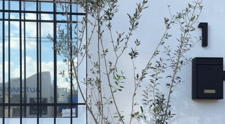 Entrada de Olivia Studio en Mérida, Yucatán, MX con ventana y planta decorativa.