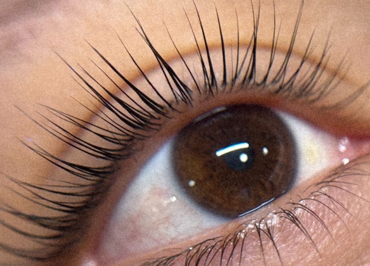 Detalle de pestañas largas realizado en Olivia Studio, Mérida, Yucatán, MX, realzando la belleza natural.