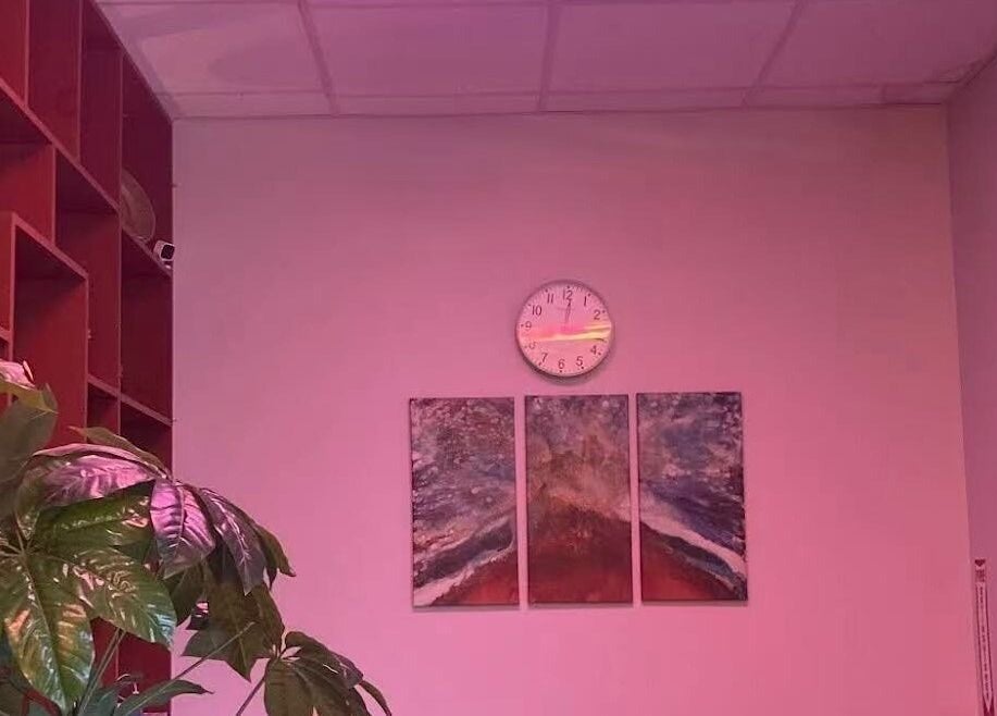 Relax Massage lounge in Douglasville, Georgia, US with abstract art and lush plant.