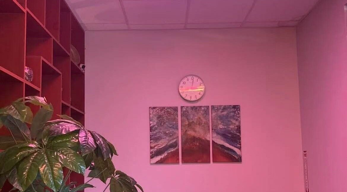 Relax Massage lounge in Douglasville, Georgia, US with abstract art and lush plant.