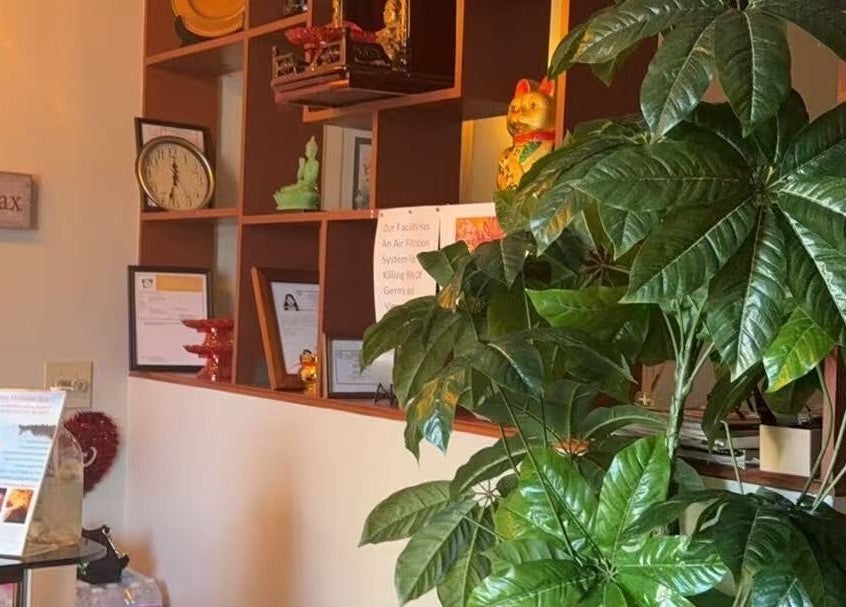 Relax Massage's inviting decor with lush plants in Douglasville, Georgia, US, creating a serene atmosphere.