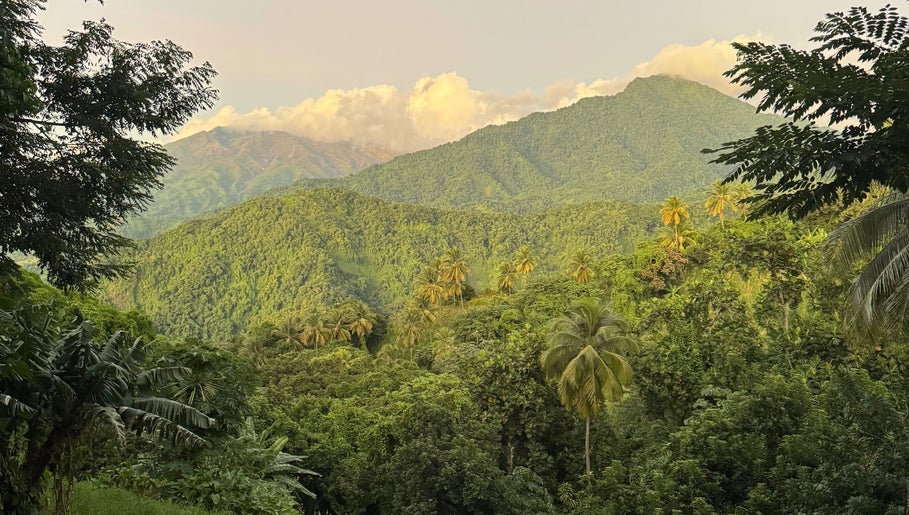 Scenic landscape view near _Braided.by_bri in Kingstown, St. David, VC, showcasing verdant hills and palm trees.