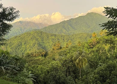 Scenic landscape view near _Braided.by_bri in Kingstown, St. David, VC, showcasing verdant hills and palm trees.