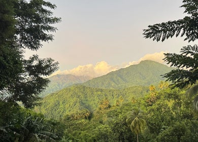 Scenic lush landscape near _Braided.by_bri, Kingstown, St. David, VC, featuring verdant hills and dense foliage.