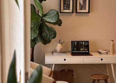 Уютный рабочий уголок в Home29 Studio, Чиșinăу, Чиșinăу, MD с растением и ноутбуком.