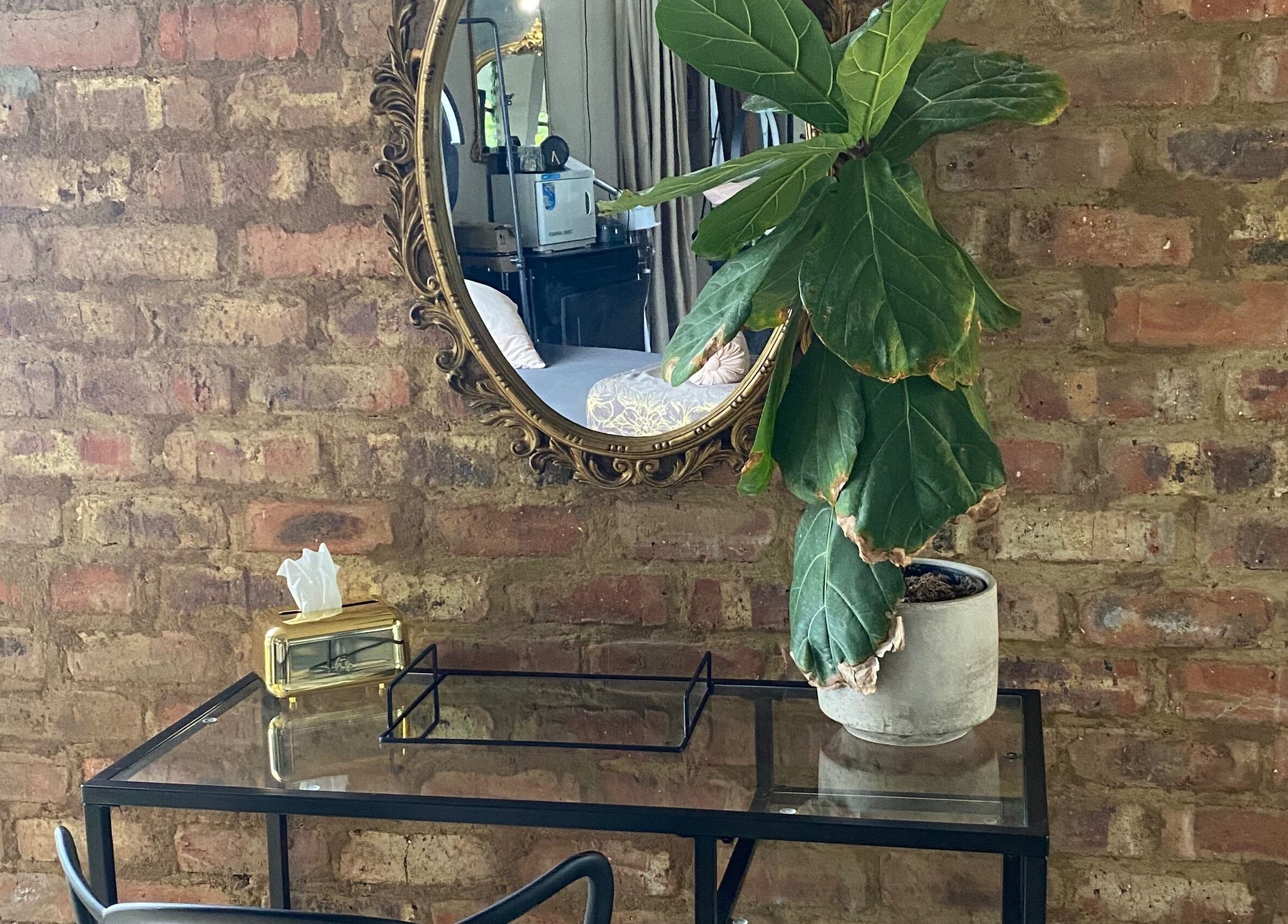 Chic vanity at Roxy At Glow, Pretoria, Gauteng, ZA with a mirror, plant, and brick wall background.