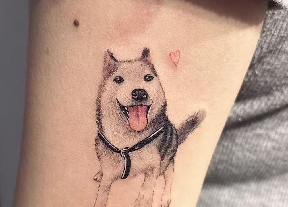 Dog tattoo with heart at TEEMOOINK TATTOO, Surry Hills, New South Wales, AU.