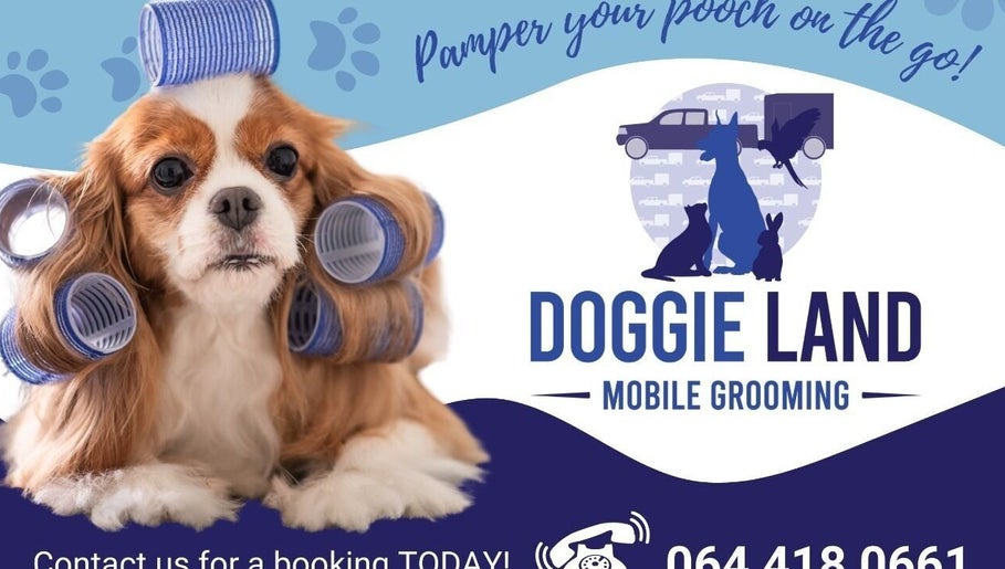 Cavalier dog with curlers at Doggie Land Mobile Grooming in ZA - Pamper your pooch on the go!