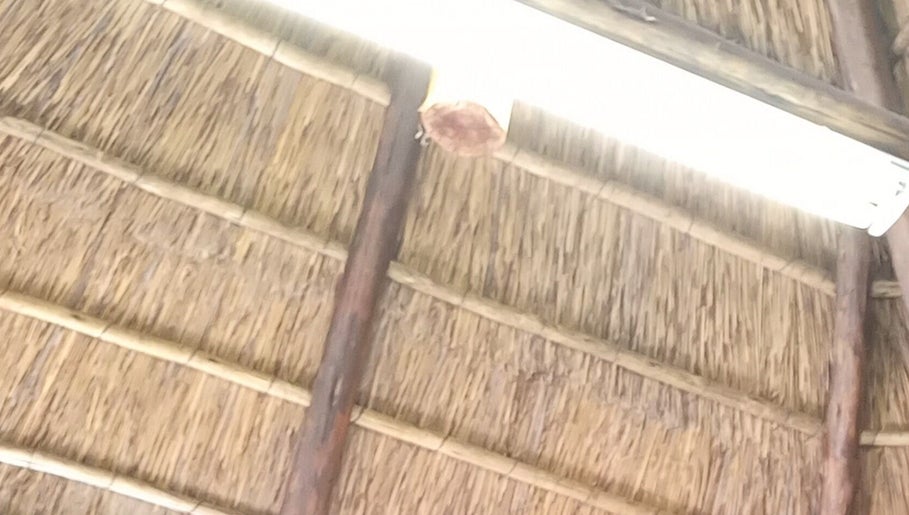 Rustic thatched ceiling with bright light at Classic Touch Barber, Sandton, Gauteng, ZA.